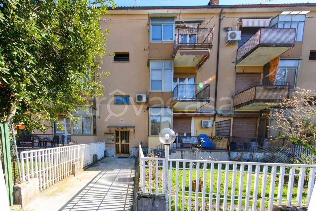 immagine annuncio 12 di 13