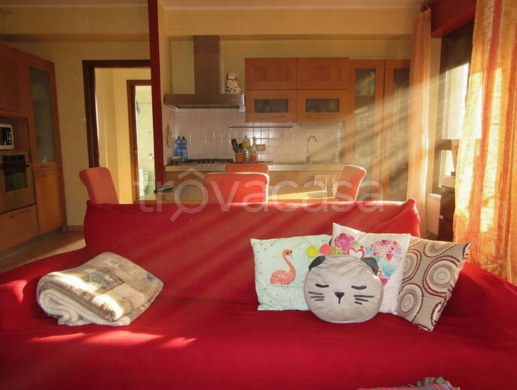 immagine annuncio 6 di 14