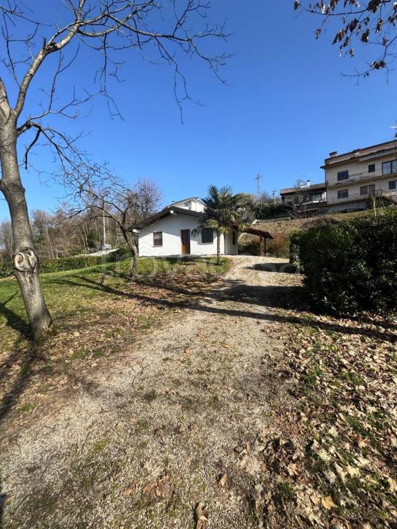 immagine annuncio 1 di 12