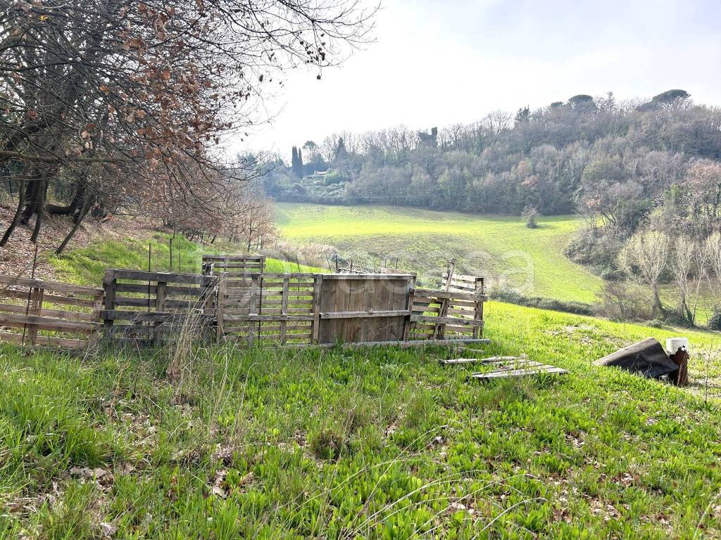 immagine annuncio 4 di 12