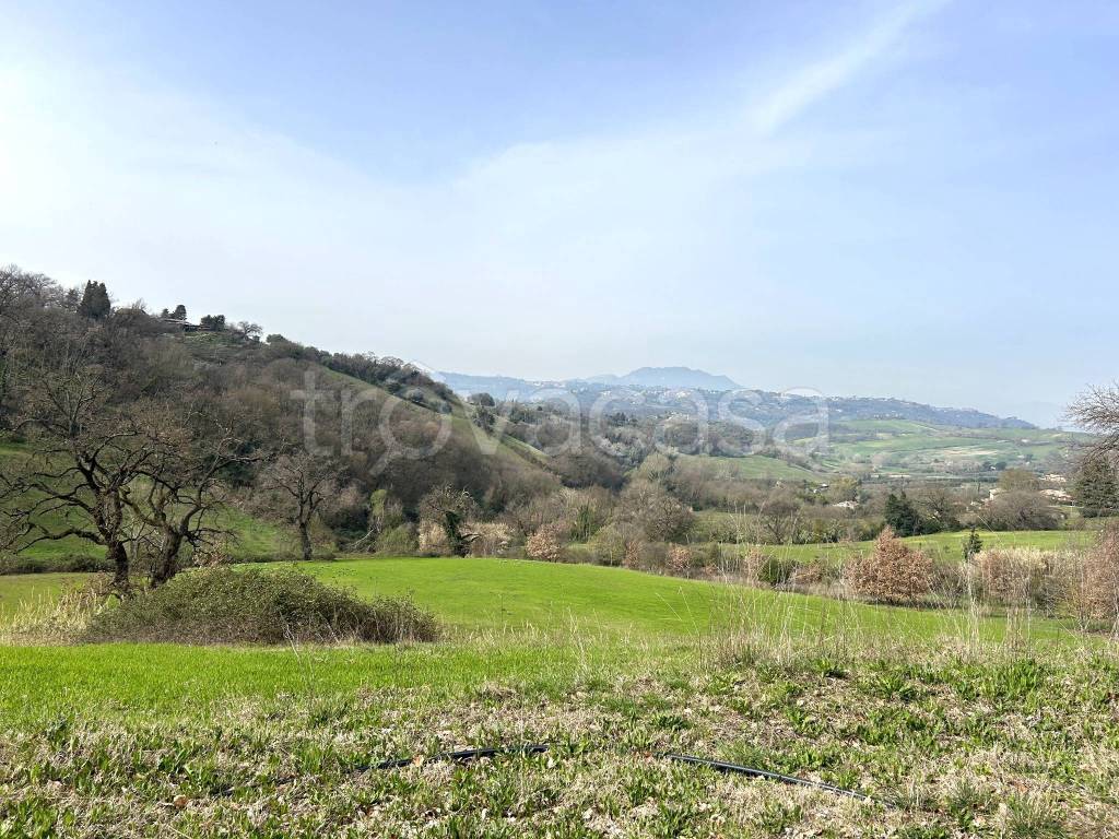 immagine annuncio 6 di 12