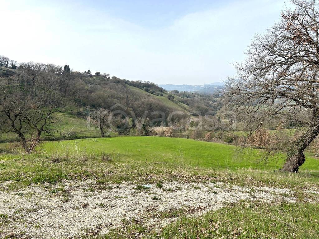 immagine annuncio 7 di 12