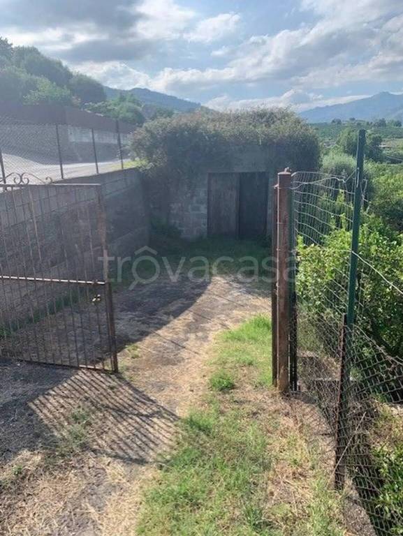 immagine annuncio 3 di 7