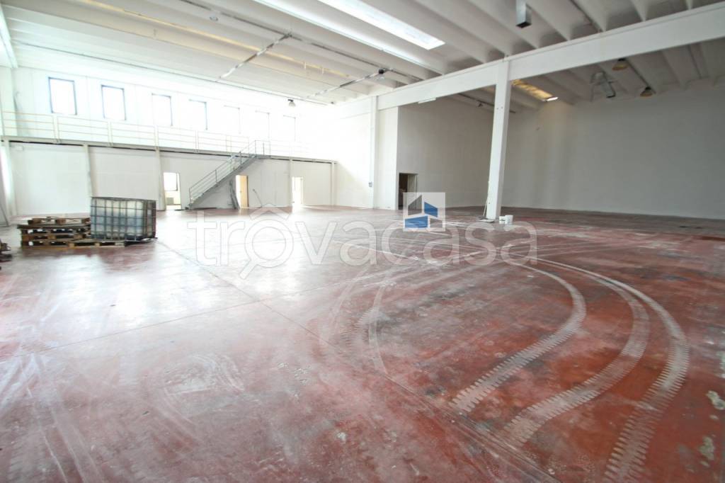 immagine annuncio 6 di 12