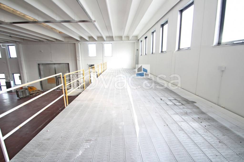 immagine annuncio 10 di 12