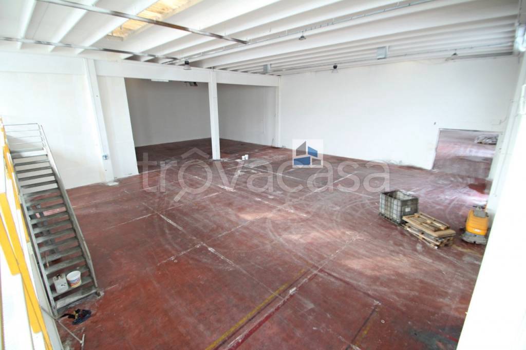 immagine annuncio 11 di 12