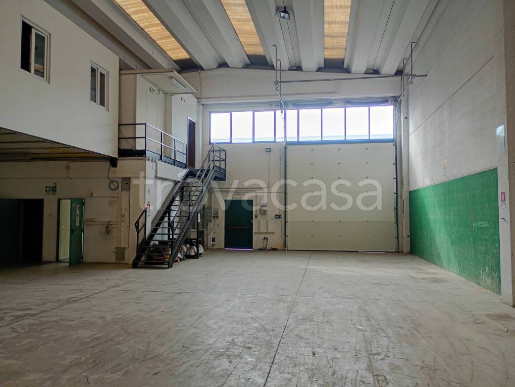 immagine annuncio 4 di 14