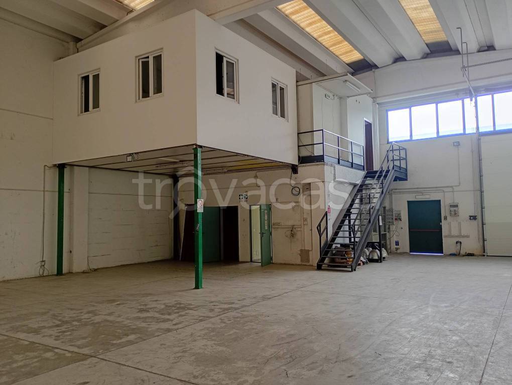 immagine annuncio 5 di 14