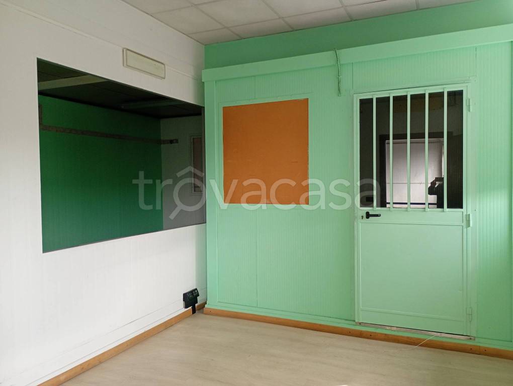 immagine annuncio 6 di 14