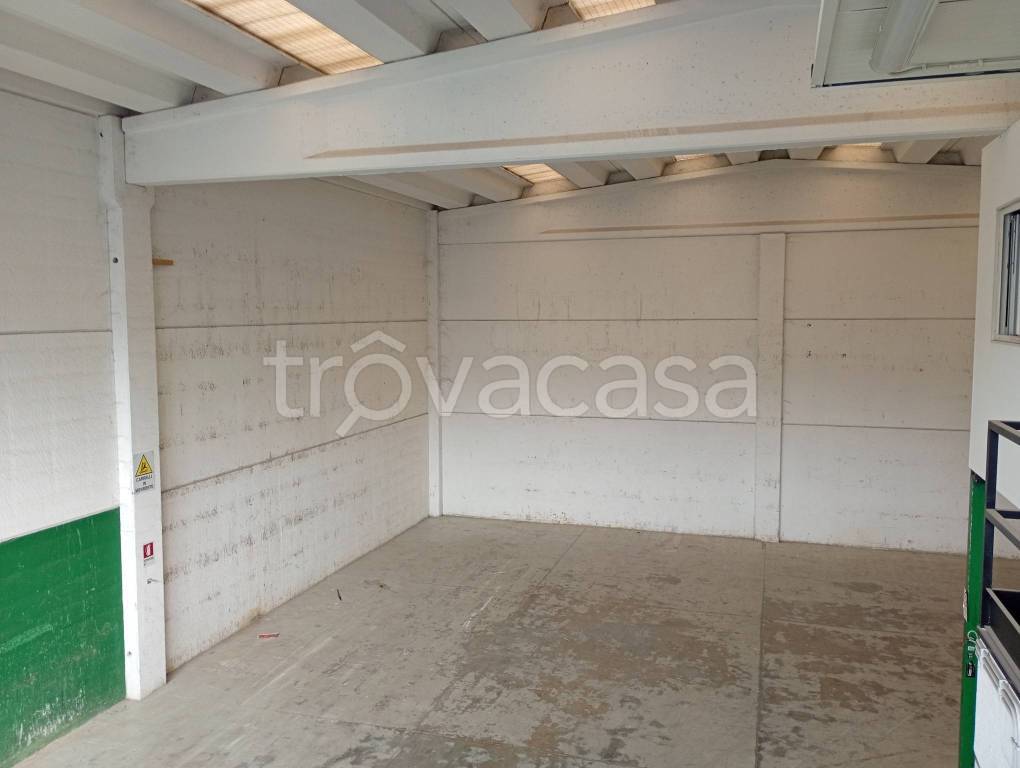 immagine annuncio 7 di 14