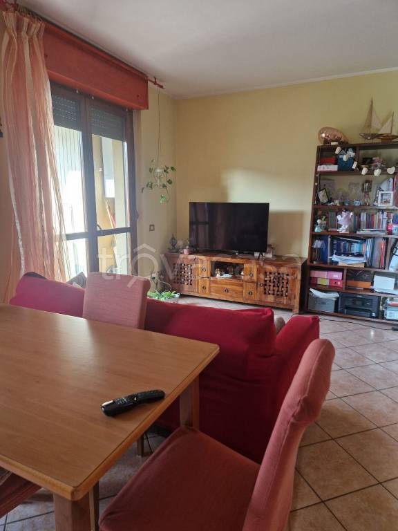 immagine annuncio 9 di 14