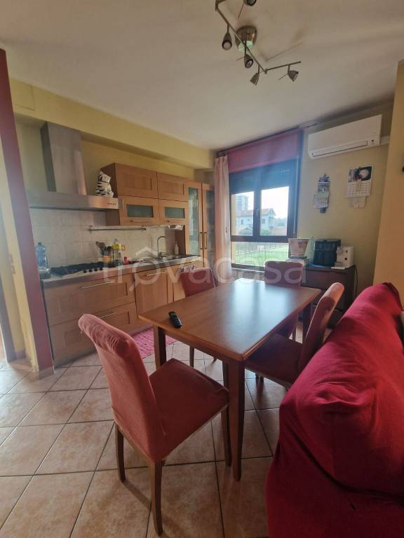 immagine annuncio 11 di 14