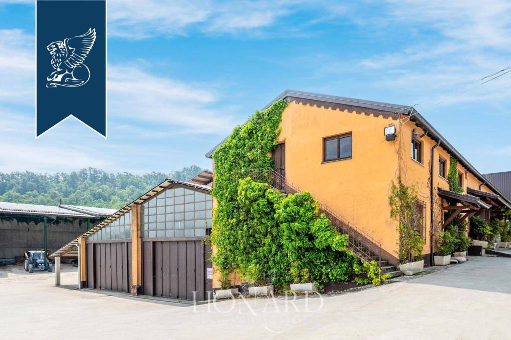 immagine annuncio 5 di 13