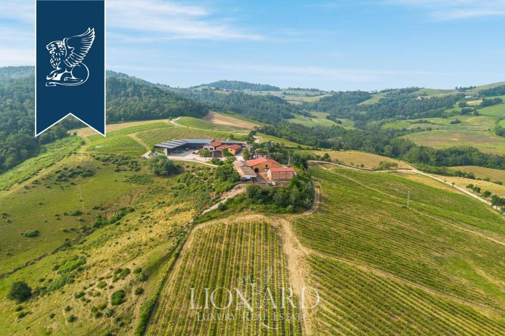 immagine annuncio 10 di 13