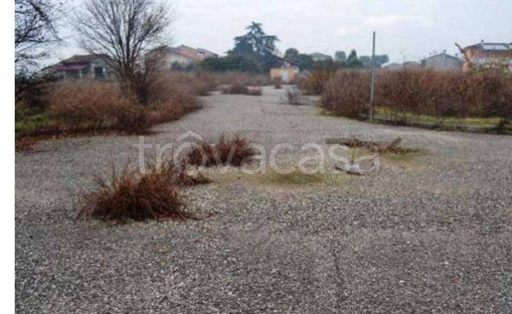 immagine annuncio 4 di 13