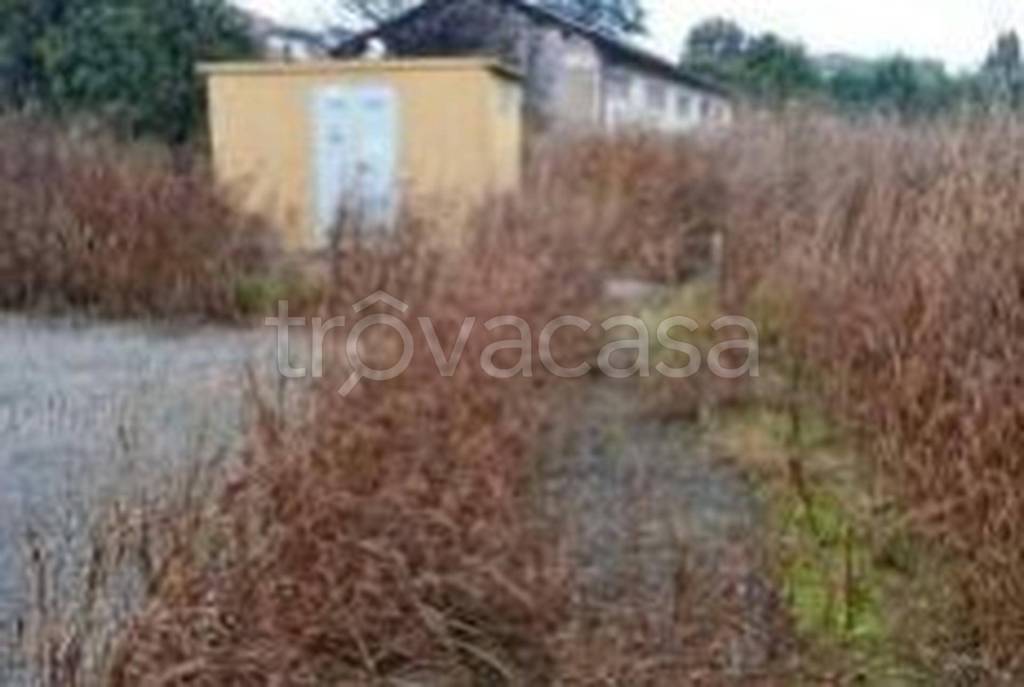 immagine annuncio 7 di 13