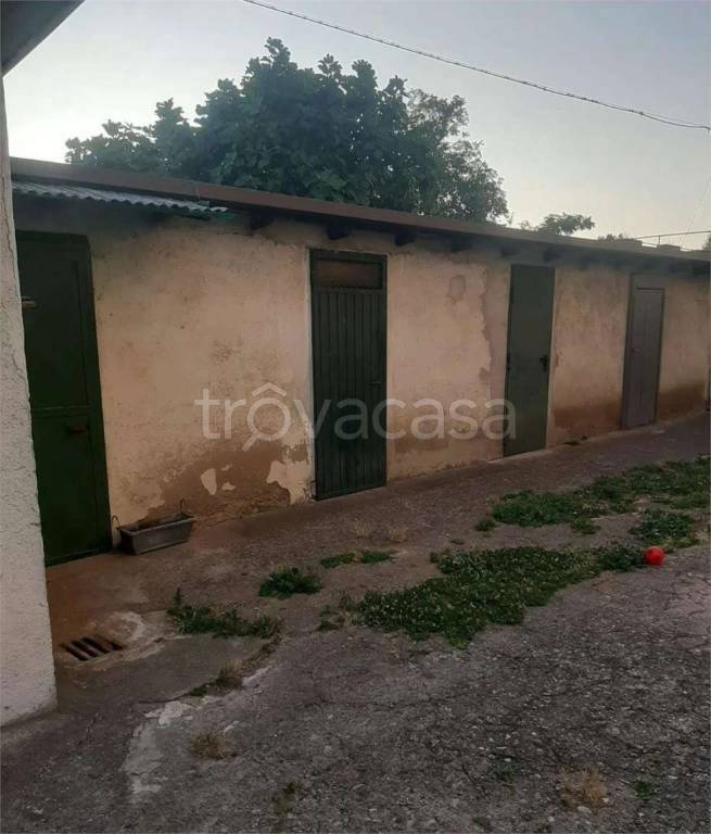 immagine annuncio 6 di 14