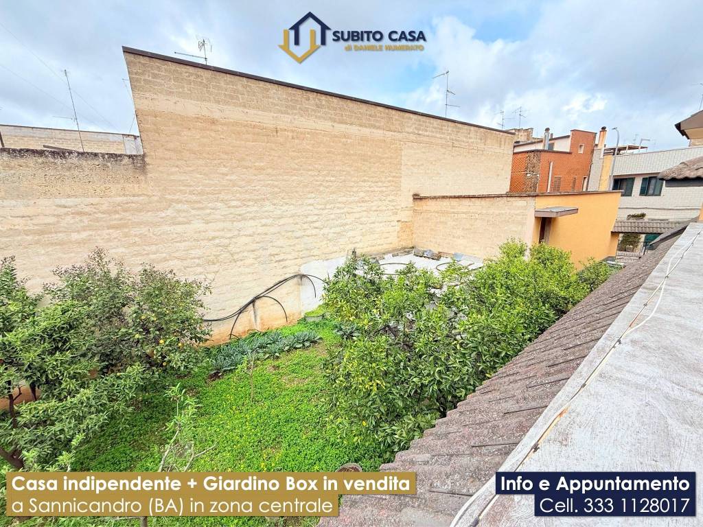 immagine annuncio 13 di 15