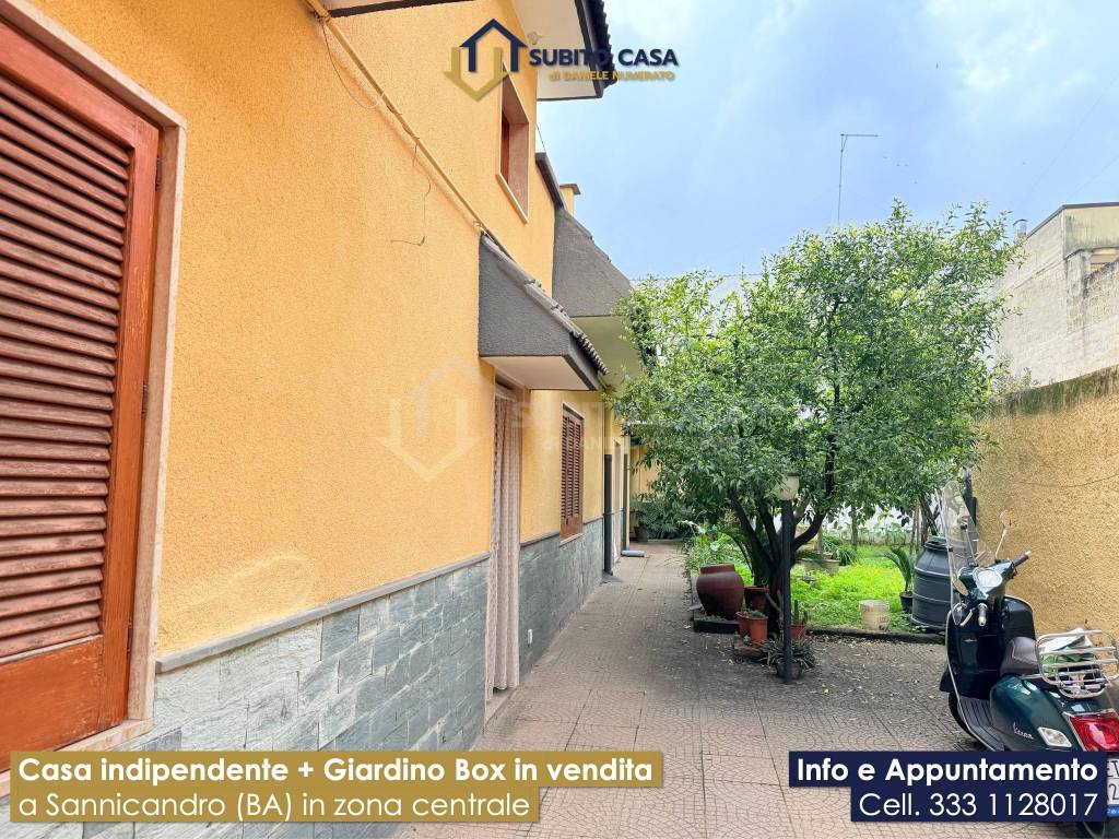 immagine annuncio 14 di 15