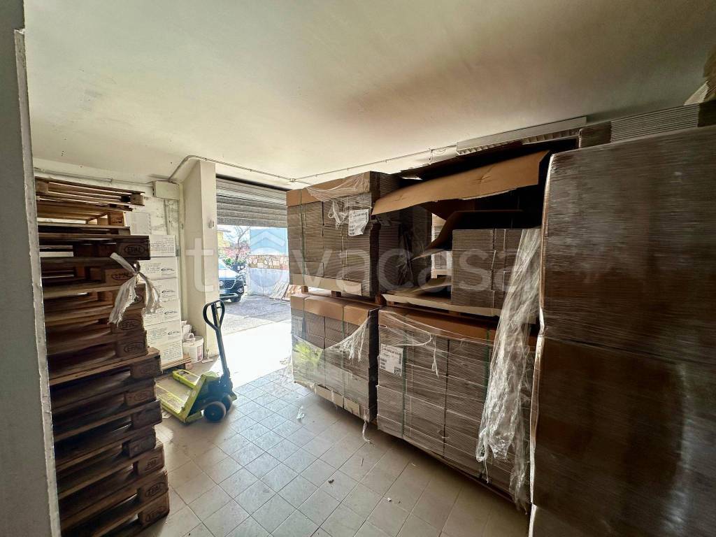 immagine annuncio 5 di 15