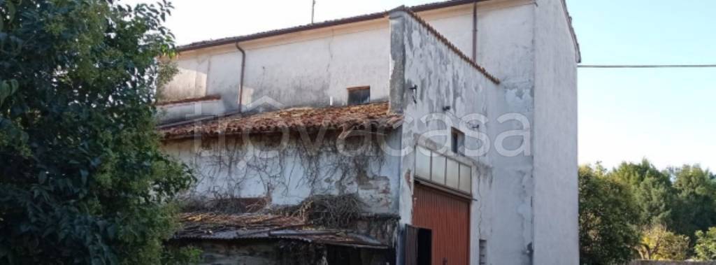immagine annuncio 3 di 12