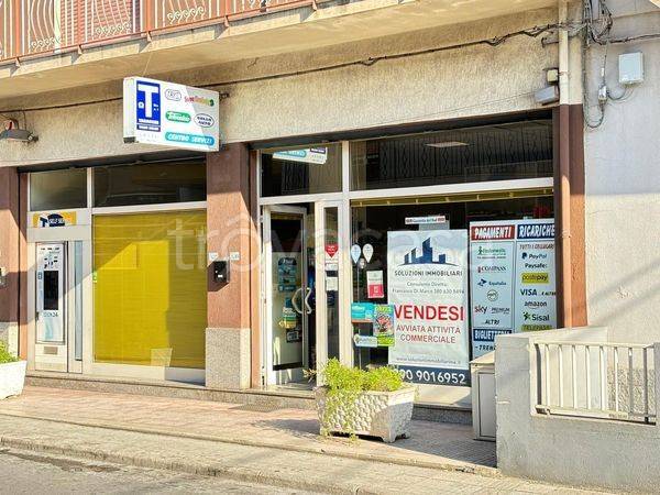 immagine annuncio 2 di 7