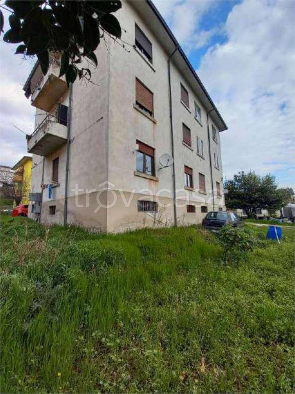 immagine annuncio 3 di 11