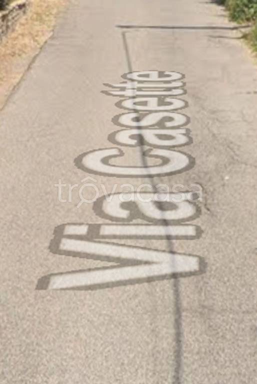 immagine annuncio 8 di 11