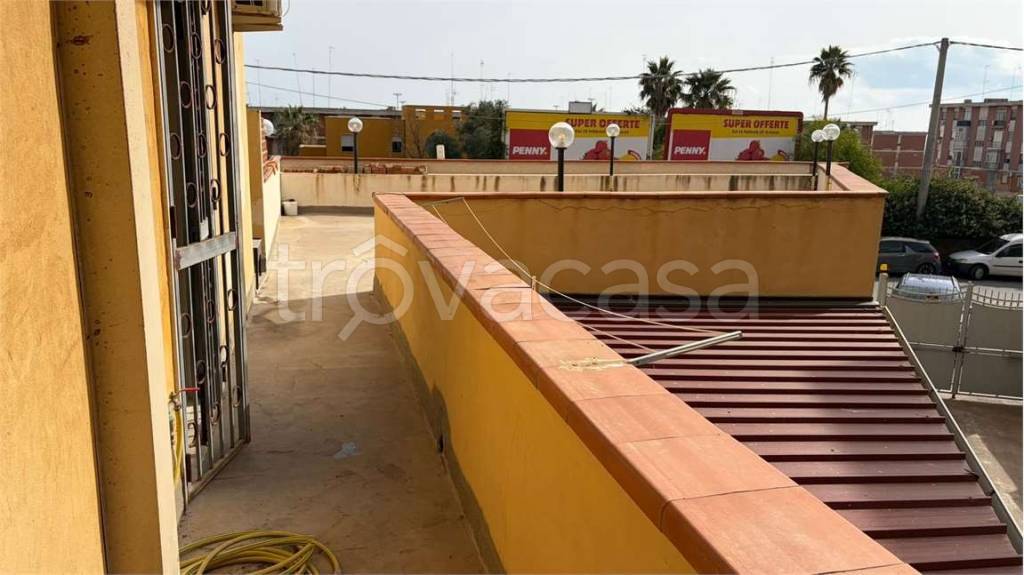 immagine annuncio 11 di 14