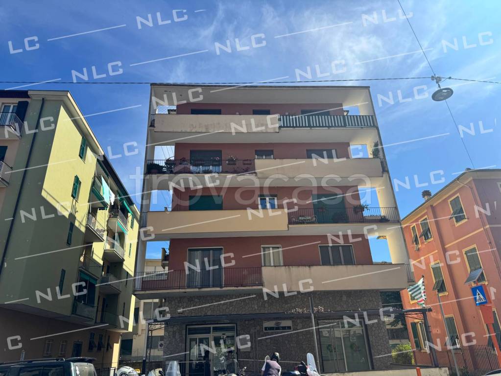 immagine annuncio 12 di 14