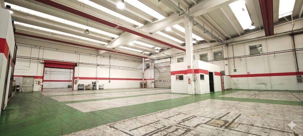 immagine annuncio 5 di 15