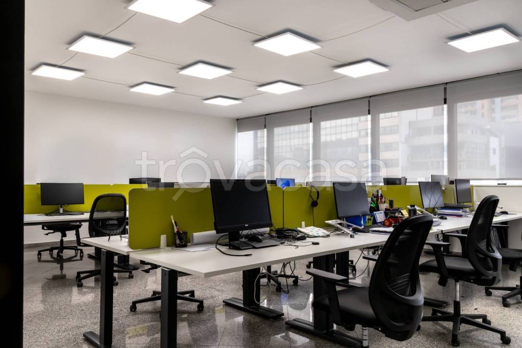 immagine annuncio 12 di 14