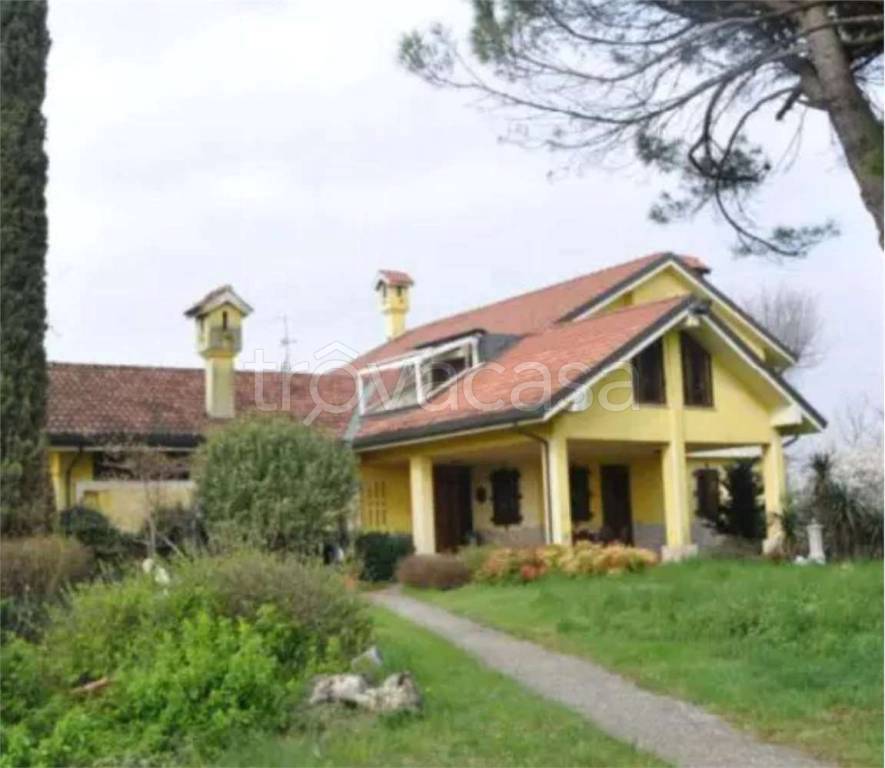 immagine annuncio 1 di 12