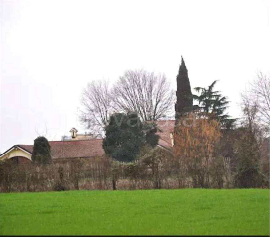 immagine annuncio 3 di 12