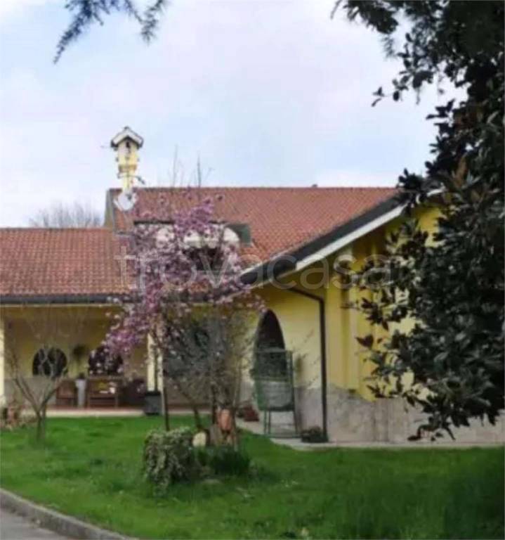 immagine annuncio 5 di 12