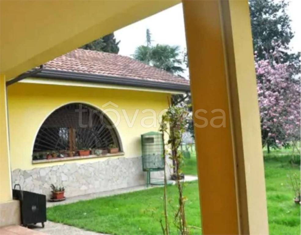 immagine annuncio 7 di 12