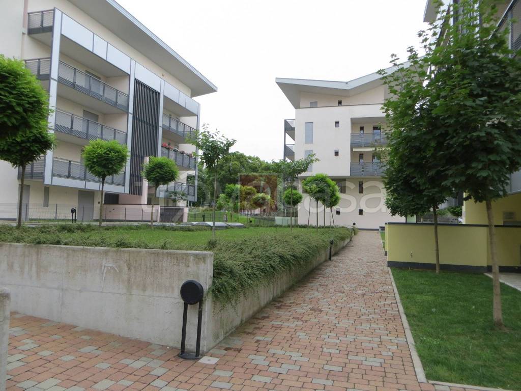 immagine annuncio 5 di 15