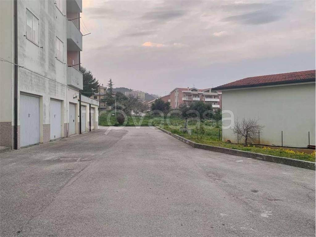 immagine annuncio 4 di 14