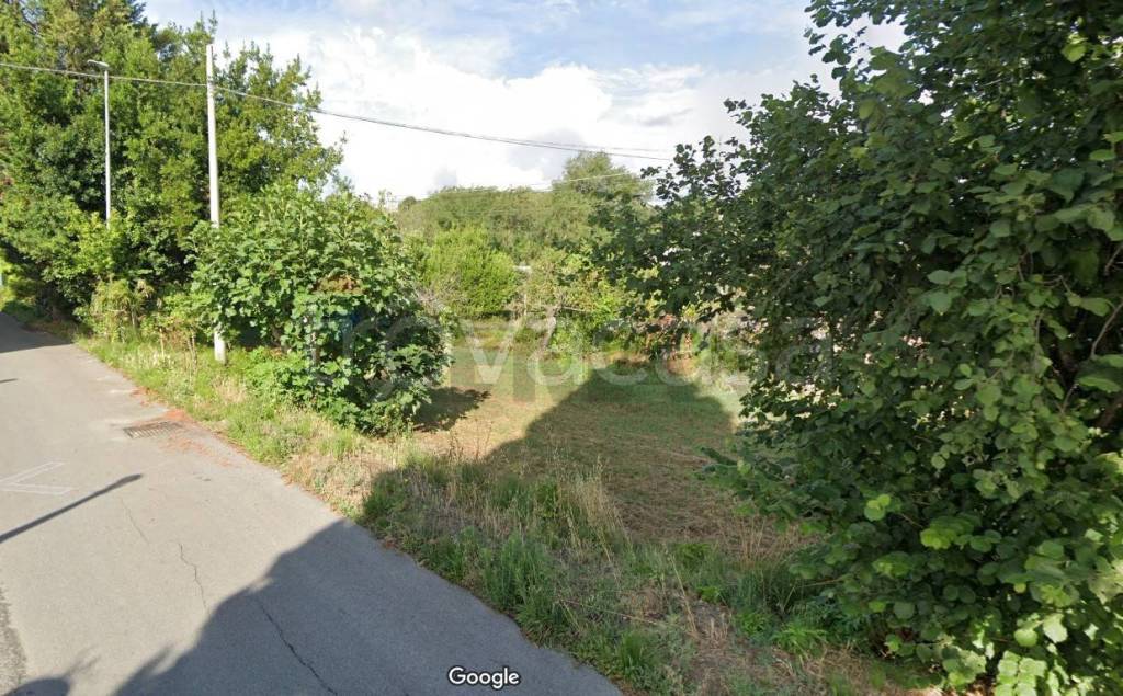 immagine annuncio 5 di 8