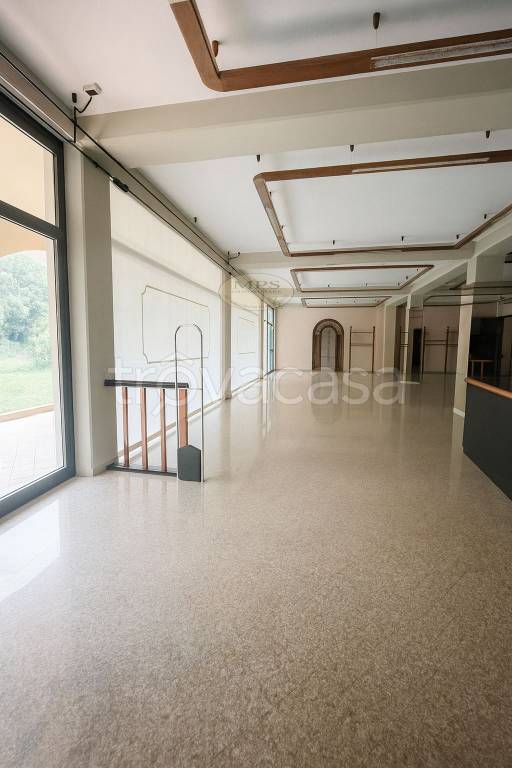 immagine annuncio 12 di 13