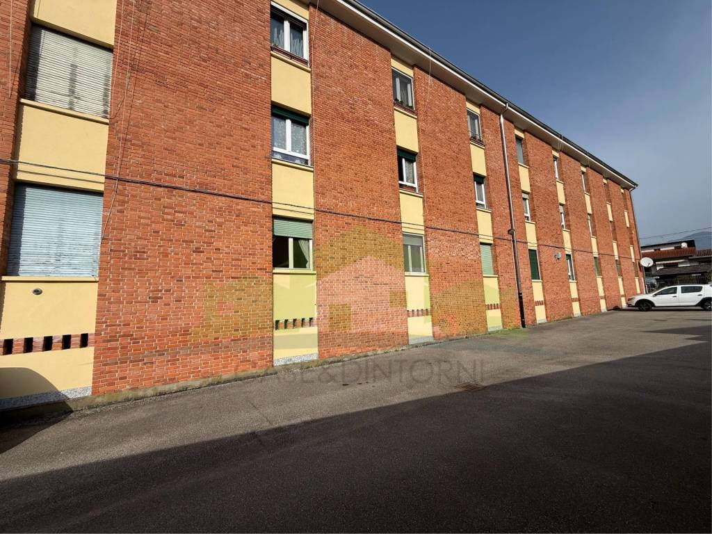 immagine annuncio 12 di 15