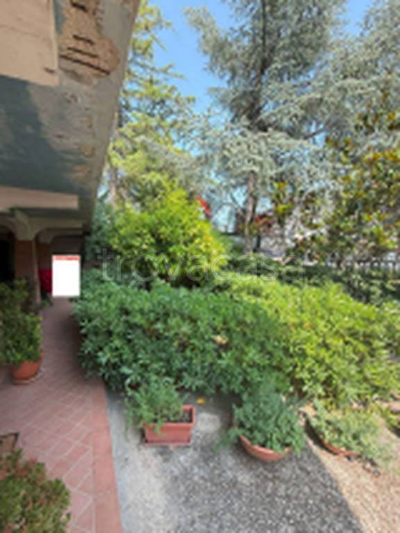 immagine annuncio 7 di 11