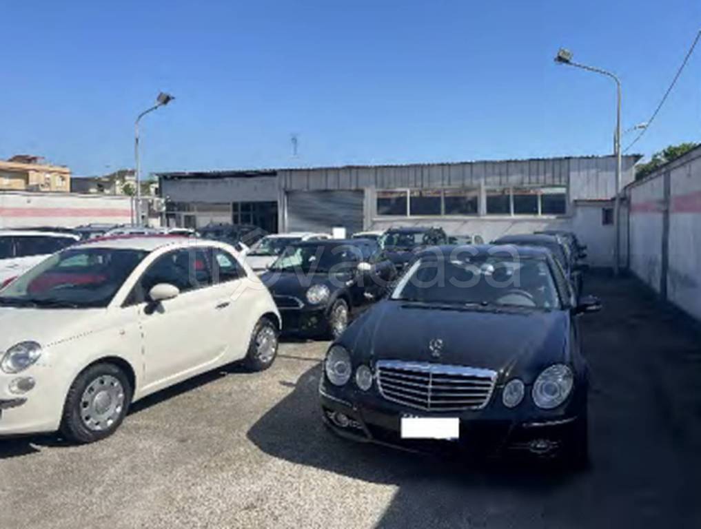 immagine annuncio 10 di 12