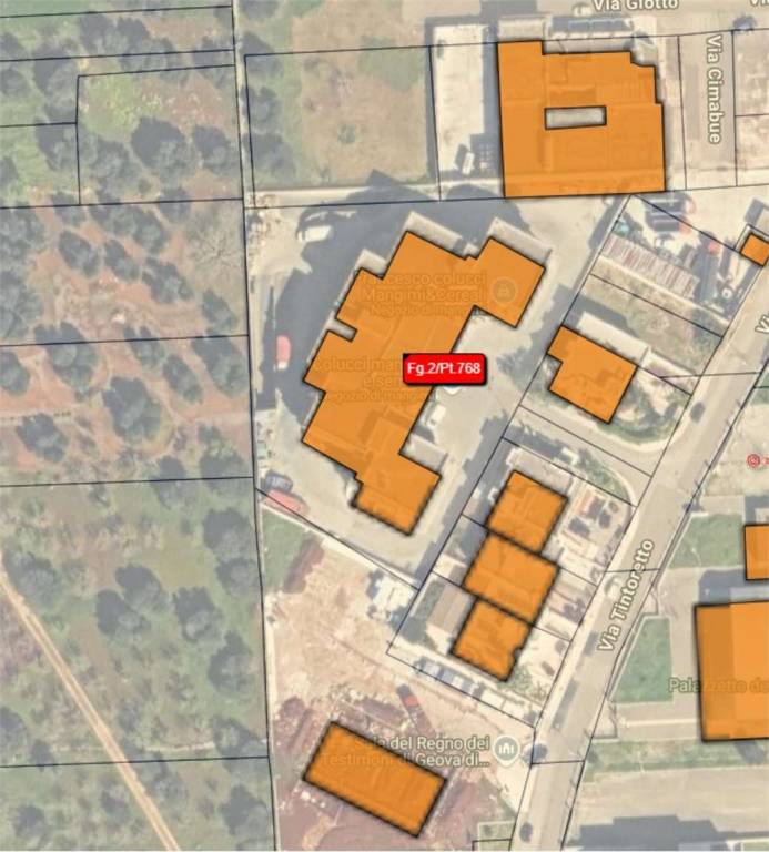 immagine annuncio 2 di 14