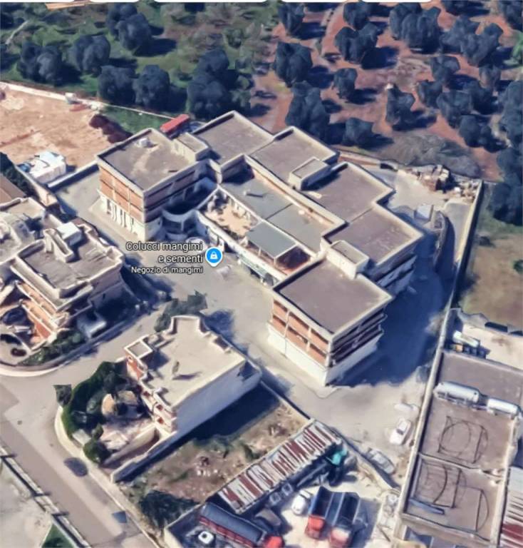 immagine annuncio 6 di 14