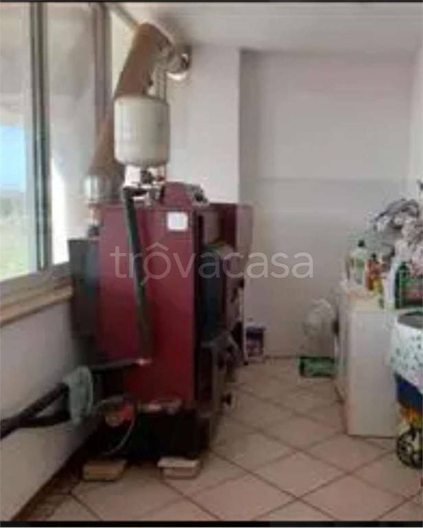 immagine annuncio 10 di 14