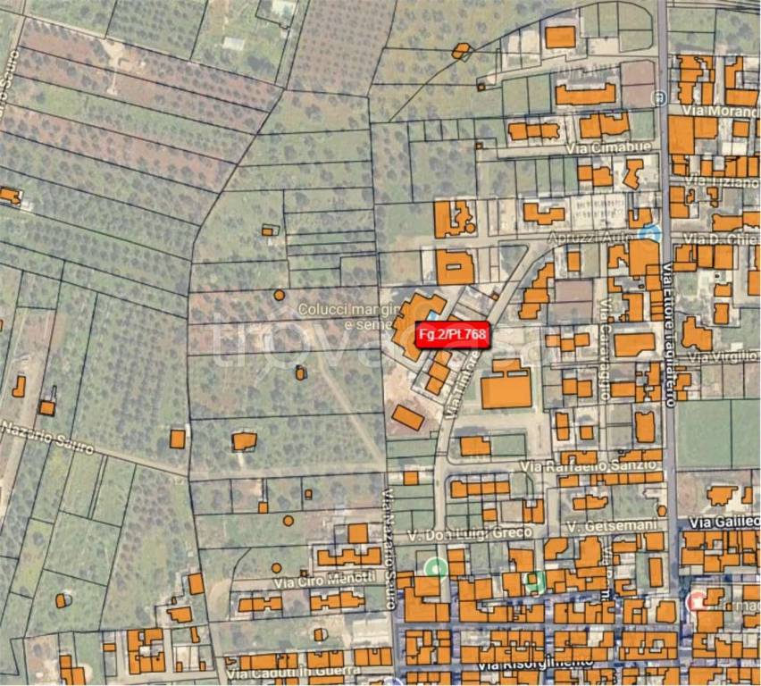 immagine annuncio 12 di 14