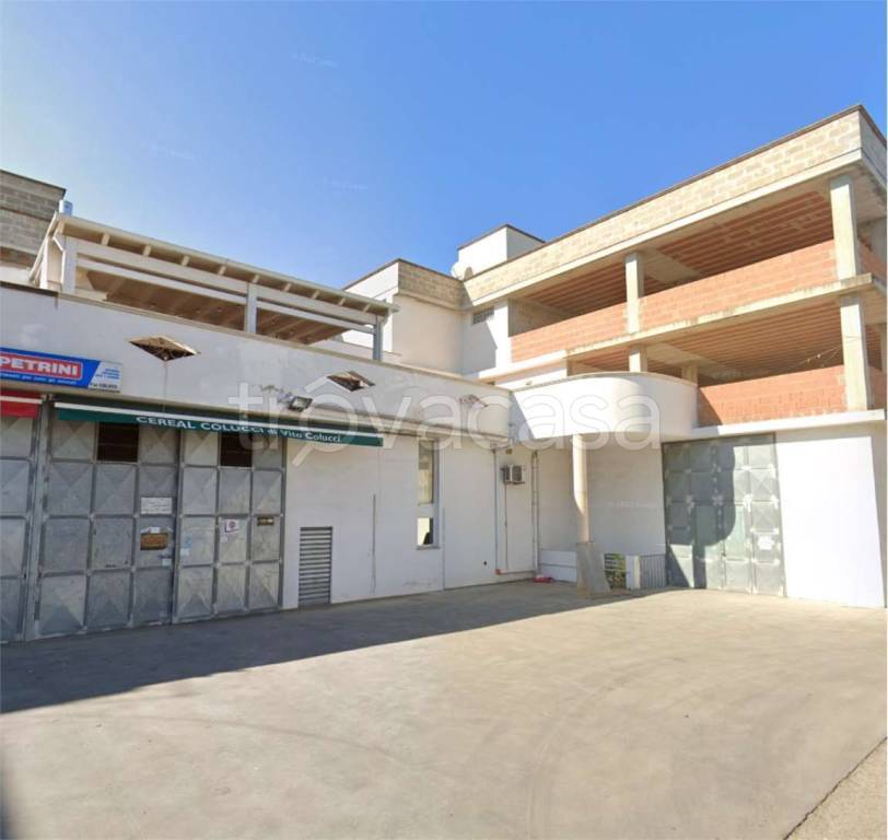 immagine annuncio 13 di 14