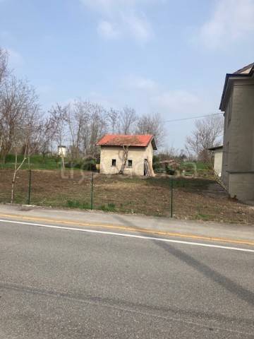 immagine annuncio 2 di 8