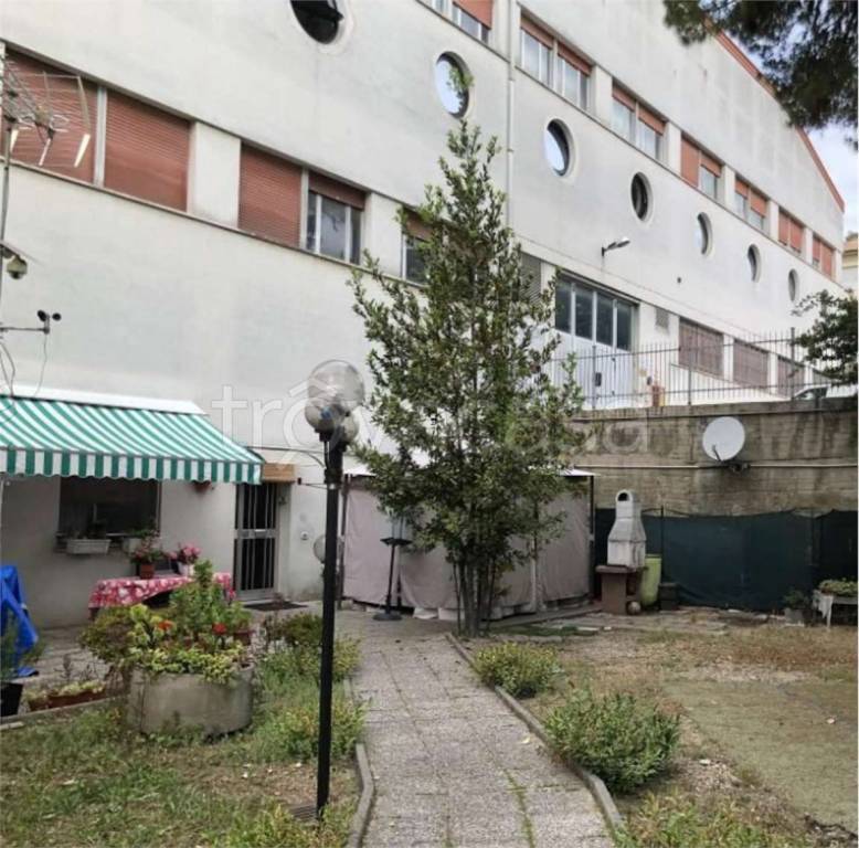 immagine annuncio 6 di 14